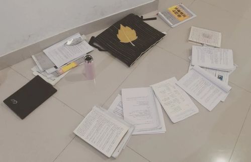 曲阜師范大學(xué) 環(huán)藝設(shè)計(jì) 初試總分402,理論150滿分學(xué)姐 風(fēng)暴設(shè)計(jì)教育