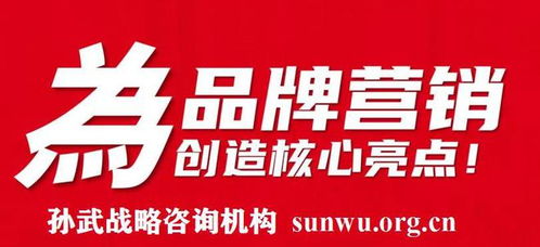 品牌智勝之道 當(dāng)專業(yè)策劃攜手孫武戰(zhàn)略，以500強(qiáng)定位案例鑄就市場輝煌